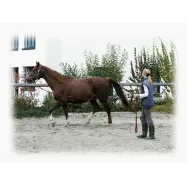 Lunge line Softlonge Covalliero