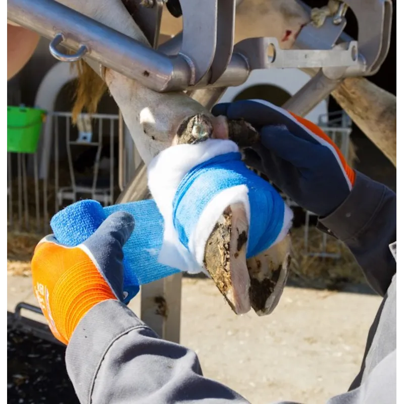 Bandage 10cm Vetlastic