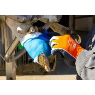 Bandage 10cm Vetlastic