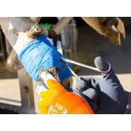 Bandage 10cm Vetlastic