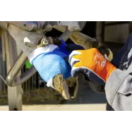 Bandage 5cm Vetlastic