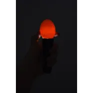 copy of Ovoskoop munade läbivalgustamiseks