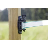 Premium Lindi & Köie pinguti