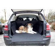 Koera transpordi pagasikate 