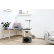 Kassi ronimispuu Platin Pro