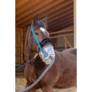 Ultrasound Inhaler for Horses AirOne Hippomed