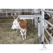 Cattle Brush Texas Kerbl