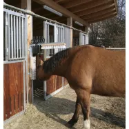 Cattle Brush Texas Kerbl