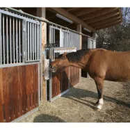 Cattle Brush Texas Kerbl