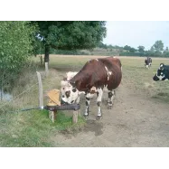 Pump-jootur AQUAMAT II