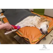 Cordless clipper Durati with 1 battery Aesculap