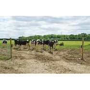 Elektrikarjuse väravakomplekt ELECTRO GATE 5m