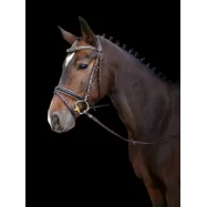 Bridle Kingston Covalliero