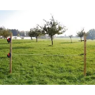 Elektrikarjuse väravasüsteem 6 mm nööriga