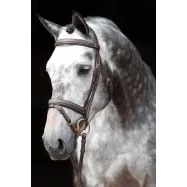 Bridle Classic Covalliero