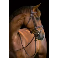 Bridle Classic Covalliero