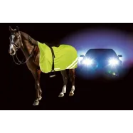 Reflective Safety Blanket