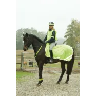 Reflective Safety Blanket