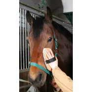 Horse brush 22cm Kerbl