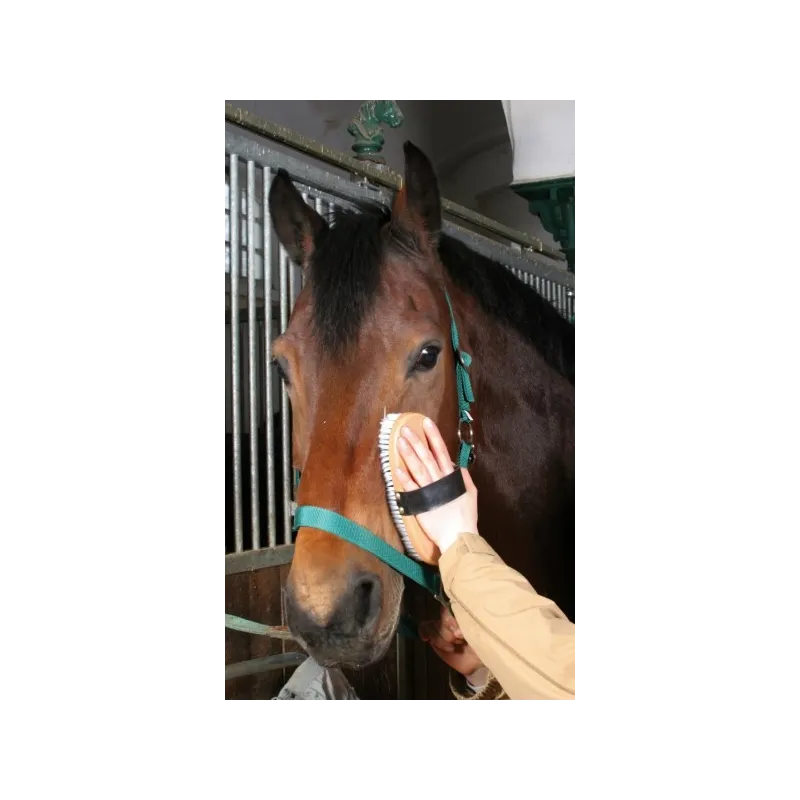 Horse brush 22cm Kerbl