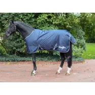 Turnout rug IceProtect 300g 600D RugBe
