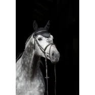 Fly veil Empara Covalliero