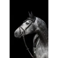 Fly veil Empara Covalliero