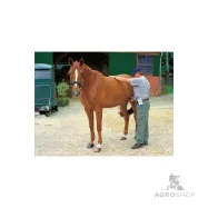 HK Pregnancy Testers for Horses Rheintechnik