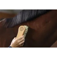Combi Horse Brush MagicBrush