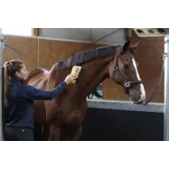 Combi Horse Brush MagicBrush