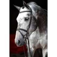 Bridle Standard Covalliero