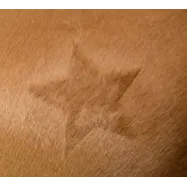 Shearing template Kerbl