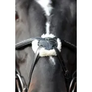 Bridle Cancun Covalliero