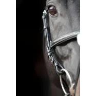 Bridle Cancun Covalliero