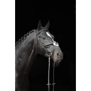 Bridle Cancun Covalliero