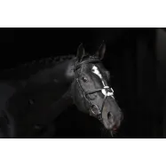 Bridle Cancun Covalliero