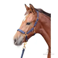 Foal halter Topline Covalliero