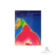 Cooler rug Therapy Cooler Bucas