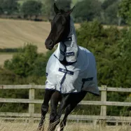 Freedom Fly Sheet Bucas