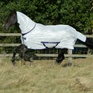 Freedom Fly Sheet Bucas