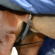 Smartex Turnout 150g 1680D Bucas