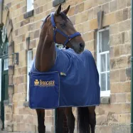 Cooler rug Power Prize Cooler Bucas