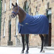 Cooler rug Power Prize Cooler Bucas