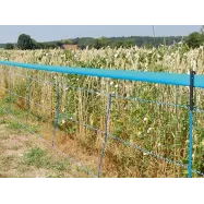 Hoiatuslint võrgule 40 mm x 250 m