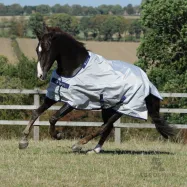 Turnout rug Sun Shower 0g 840D Bucas