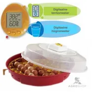 copy of Munade haudeaparaat 24 munaleCovatutto 