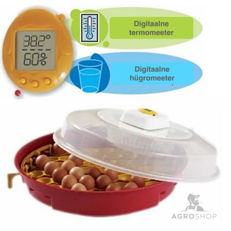 copy of Munade haudeaparaat 24 munaleCovatutto 