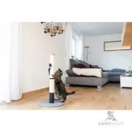 copy of Kassi kraapimispost Opal