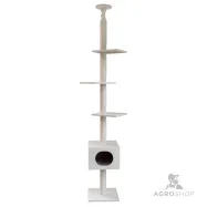 copy of Kassi ronimispuu Gentle Giant