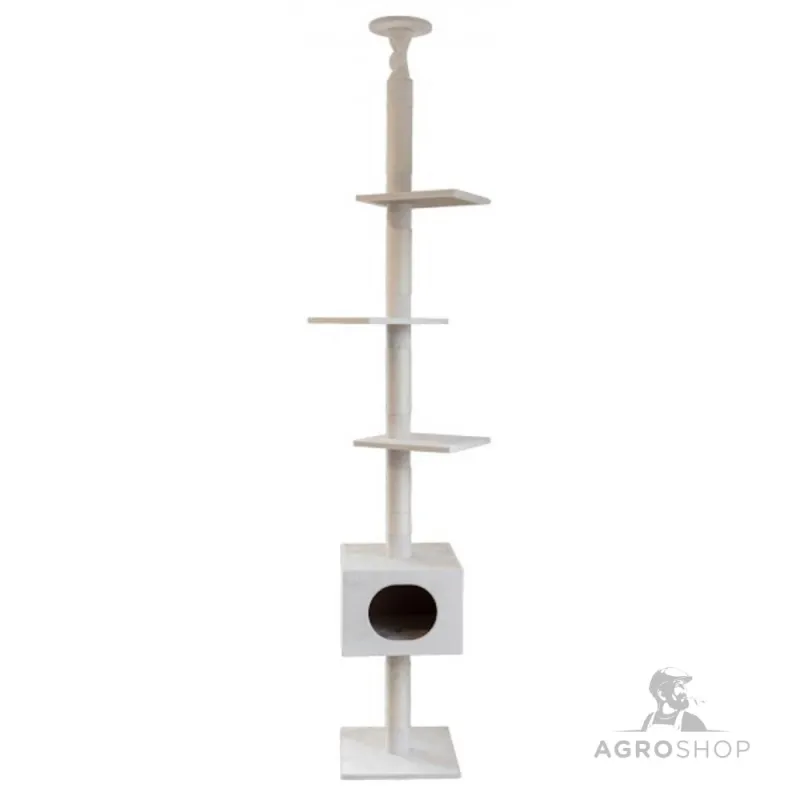 copy of Kassi ronimispuu Gentle Giant